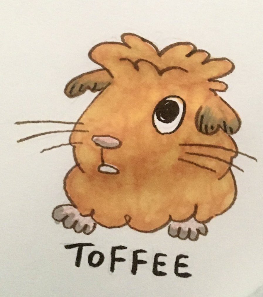 TuftyPiggies tweet media