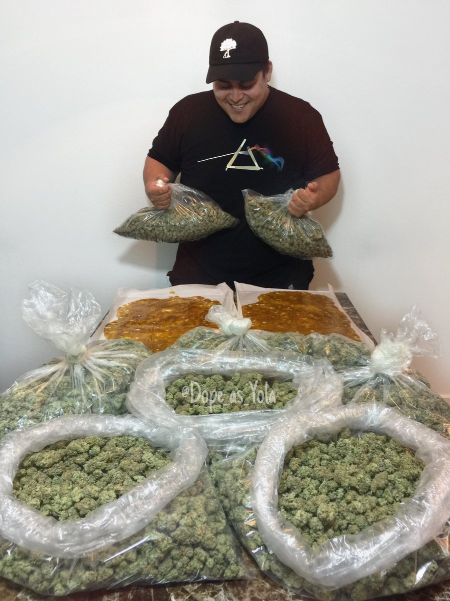 push_trees_'s tweet image. Push Trees Daily #PushTreesClothing #PushTrees