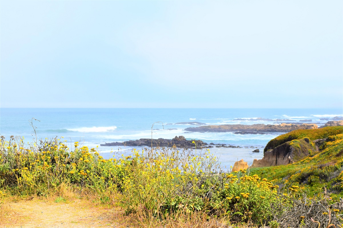 One of the most exhilarating #roadtrips is the #PCH Pacific Coast Highway /West Coast! The viewpoint stops are breathless, #landscapes are stunning, & the joy of the open road is rejuvenating! Enjoy these tips on motorcycle U.S. road trips! #Travel 🏔️ fitlifeandtravel.com/2021/08/20/10-…