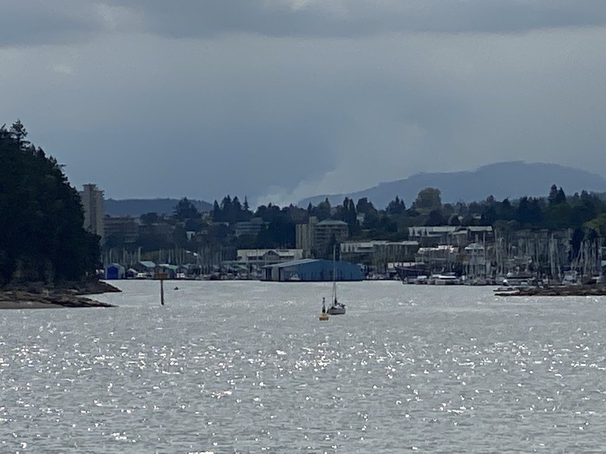 Ladysmith Mt Hayes wildfire from #Ladysmith #bcwildfires from ferry as we approach Nanaimo just now.