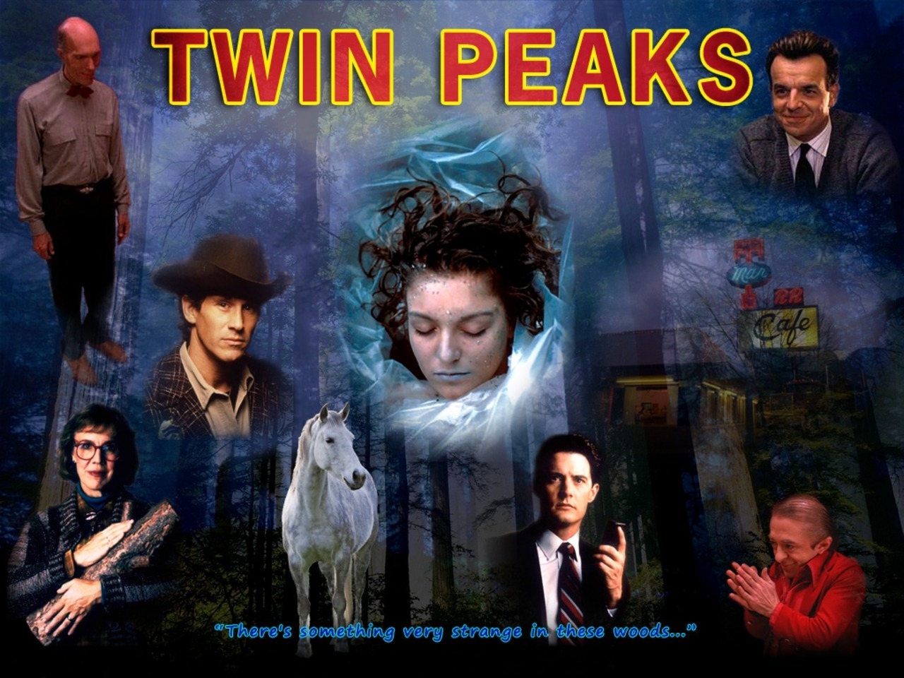 Twin Peaks - TV Series (1990 - 1991)
Happy Birthday, Ray Wise! 