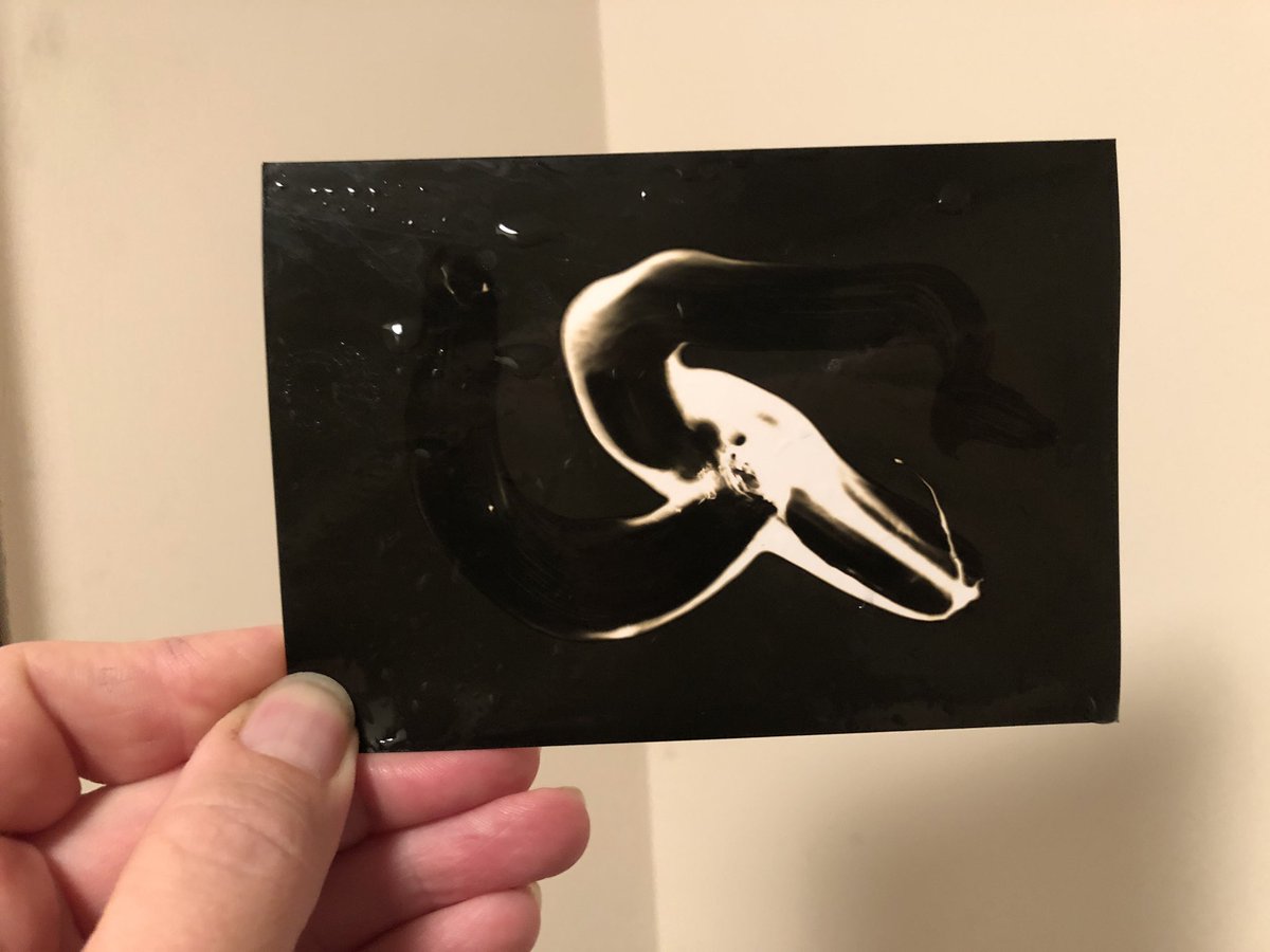 TobyVPhoto's tweet image. Today I made some #chemigram action
#altprocess
#cameralessphotography