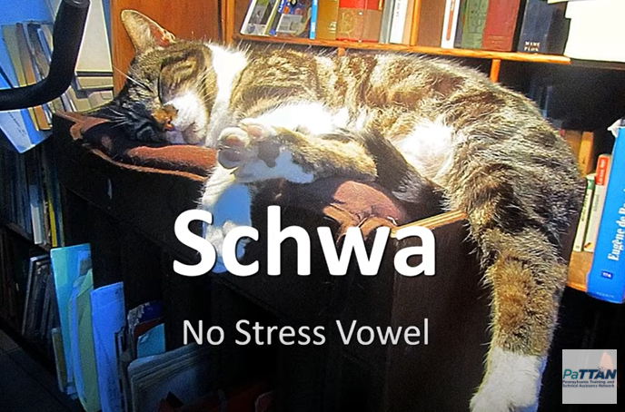 liv2learn's tweet photo. The PaTTAN Literacy team is on FIRE! We released another literacy snippet today: Teaching Schwa!!! 
Shout out to Donna Halpin for this exemplary literacy snippet! Watch here: https://t.co/dJX2m2DGFd https://t.co/WbefNYY5dN