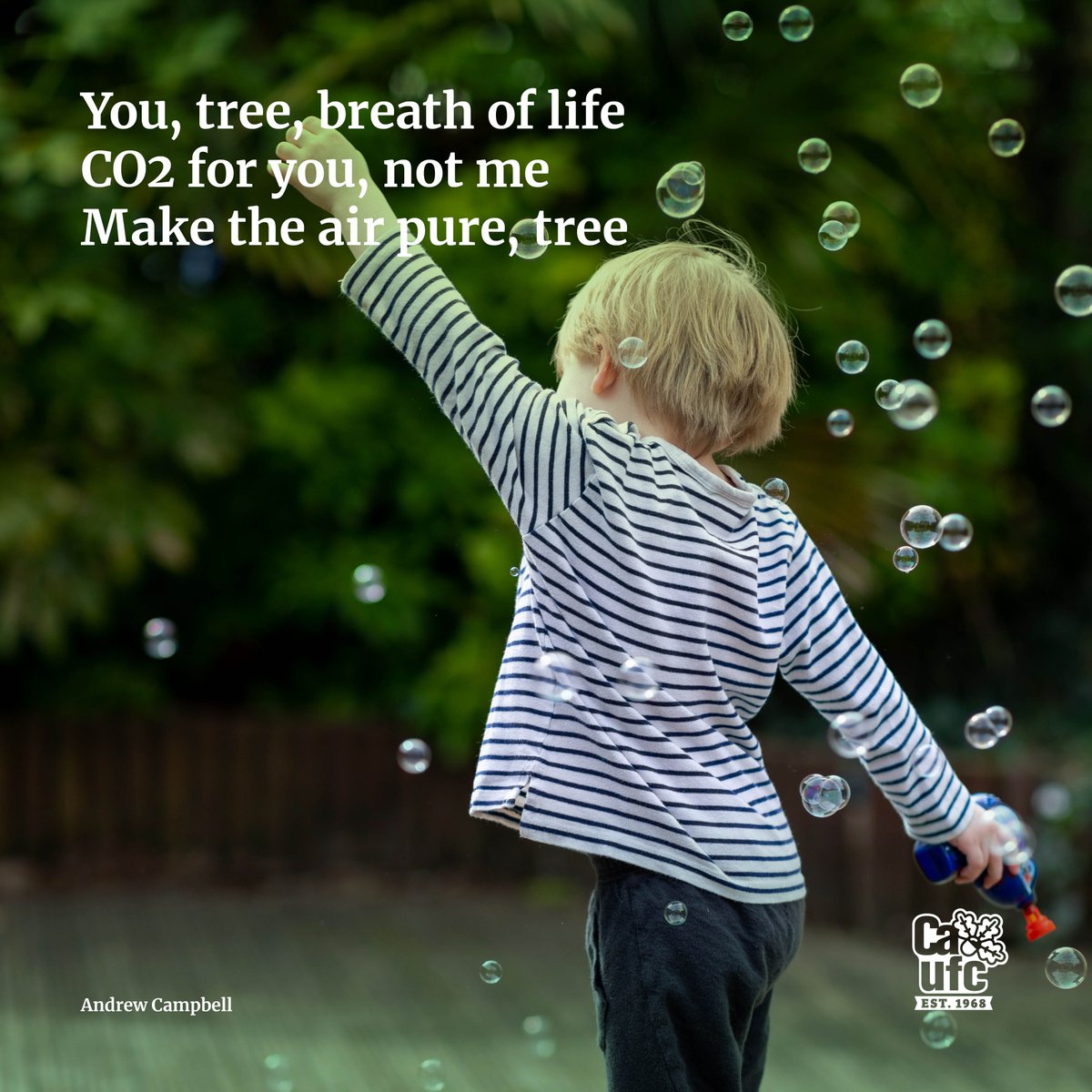 Entered our haiku promotion?
Theme: Birds, bugs, bats, bees…What else relies on trees?
Rules:
-Limit 3 entries/person
-"Keep it clean”
-Close AUG 31
-Enter @ catree.us/haiku21
-We can use your haiku in future promotions
#treesareessential #weneedtrees #trees4all #catrees