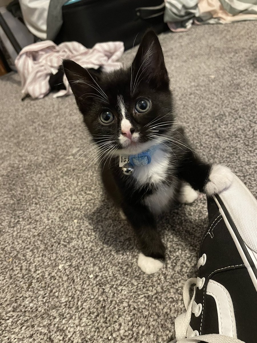 Laura Cox 🌈 tweet media