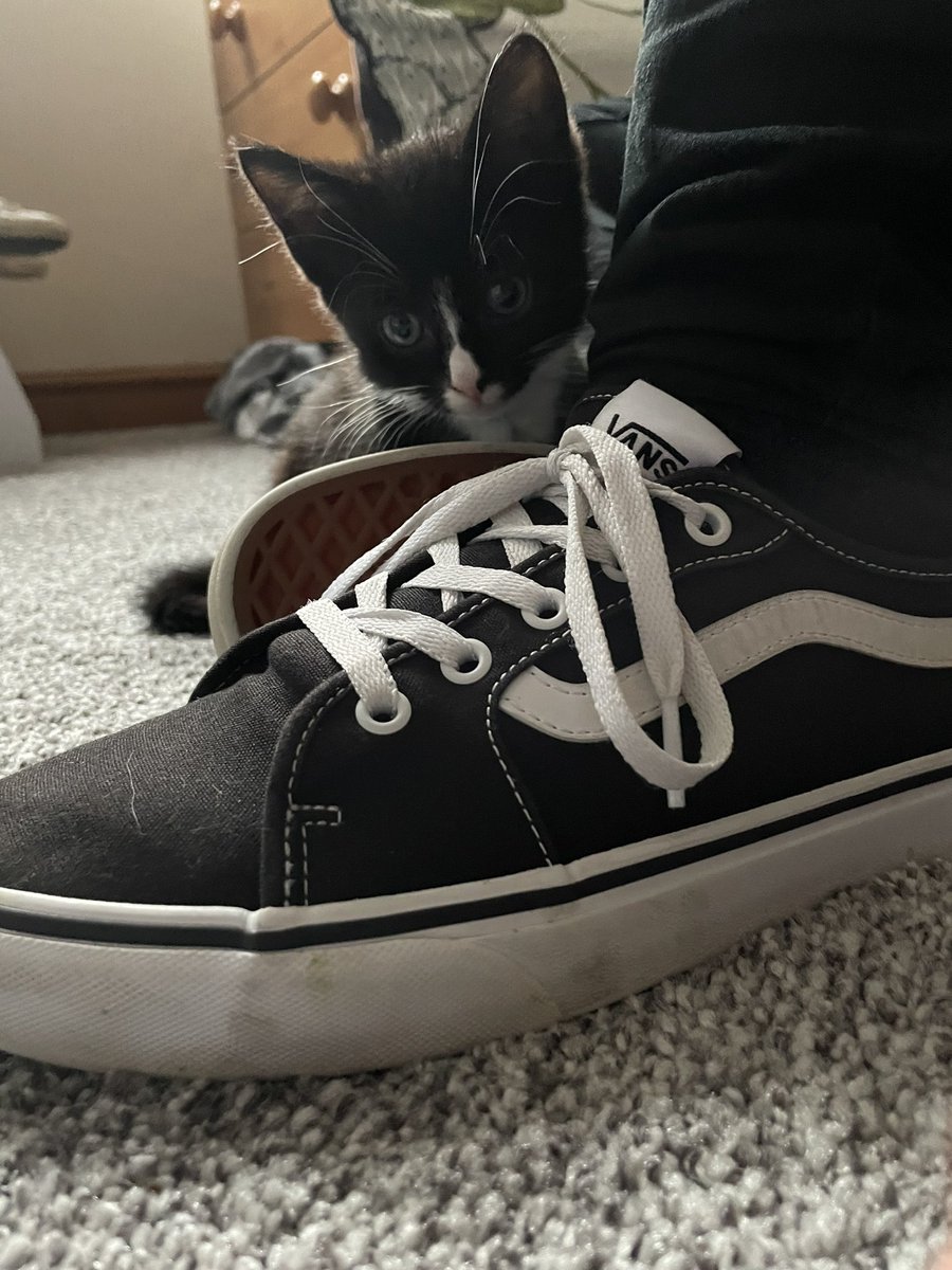 Laura Cox 🌈 tweet media