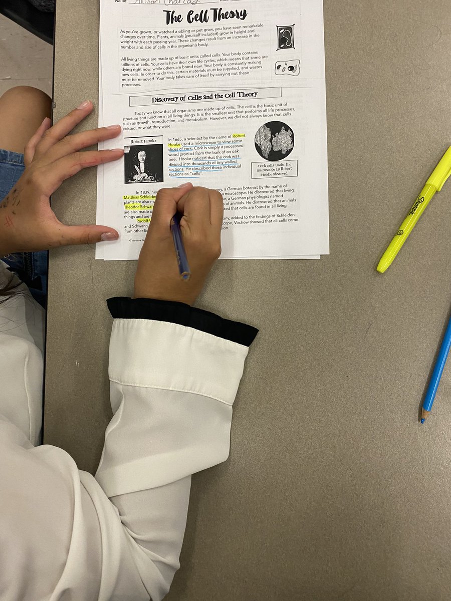 MrsGillespie-DVISD AP tweet media