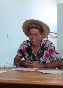 comfort for niall stans (@safeforniall) on Twitter photo 