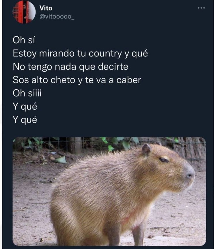 MamaPachaConA's tweet photo. Te re cabió. https://t.co/0TOn3rOFCX