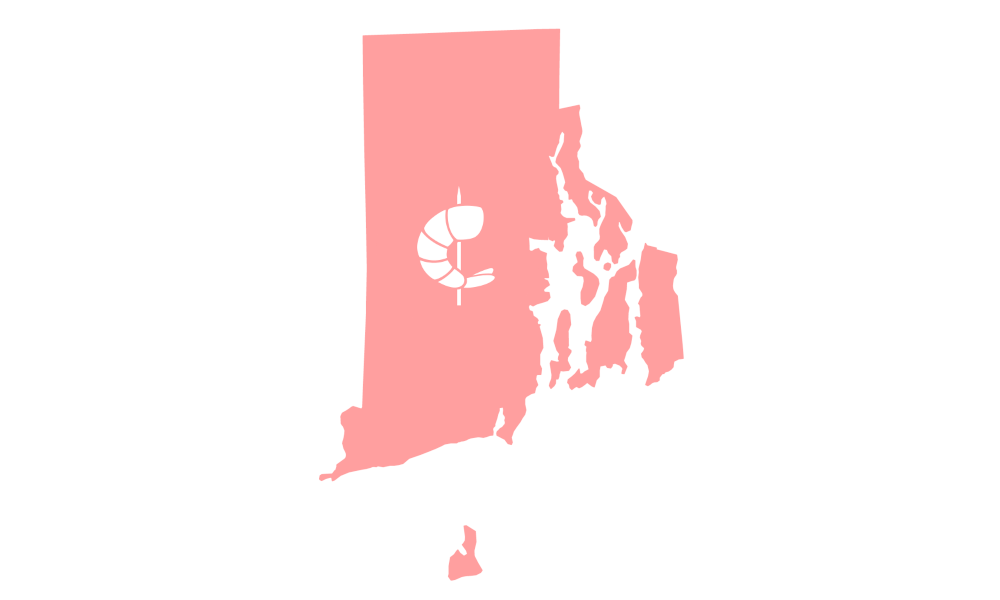 SHMPCoin's tweet photo. We're in talks with the government of Rhode Island. They're open to the idea of adopting Shrimpcoin as the exclusive payment method in all public transit statewide! 😊 @GovDanMcKee @ergoplatformorg https://t.co/7NrrkxwpWh