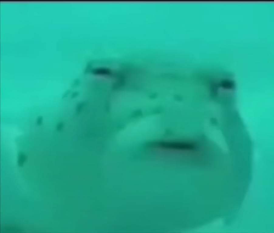 สีหน้าปลา