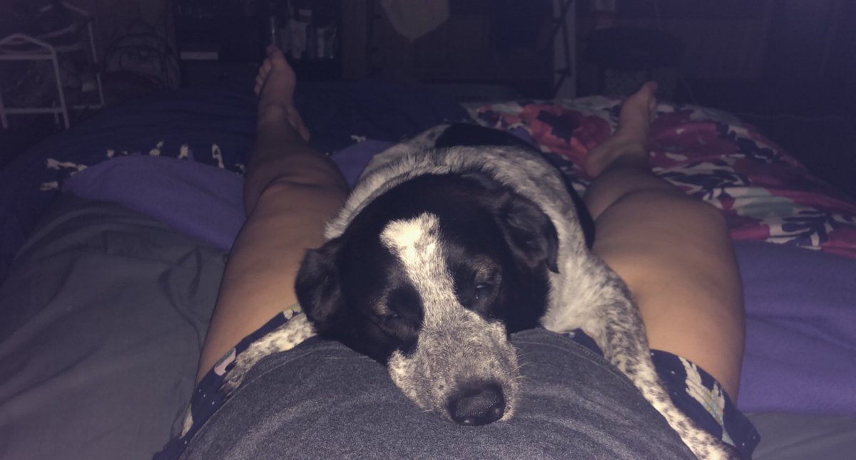 I 100% do not deserve my dog. She has helped me &amp; comforted me through some rough times. 🖤