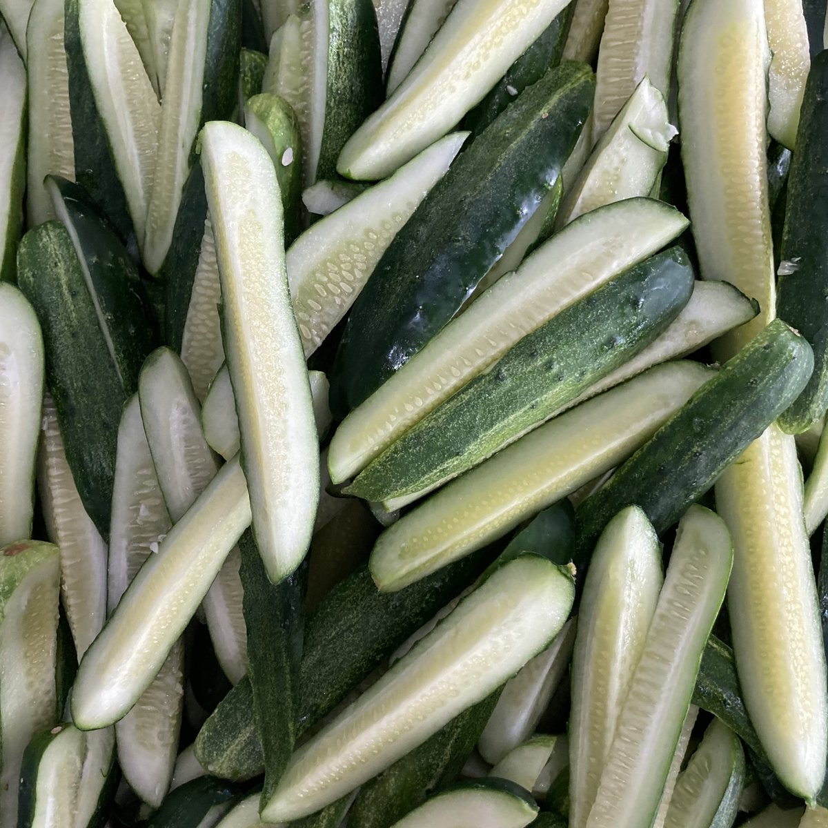 Number1Sons's tweet image. Pattern appreciation post. We’ll have more watermelon kombucha at markets this weekend, by the way 🍉🥰