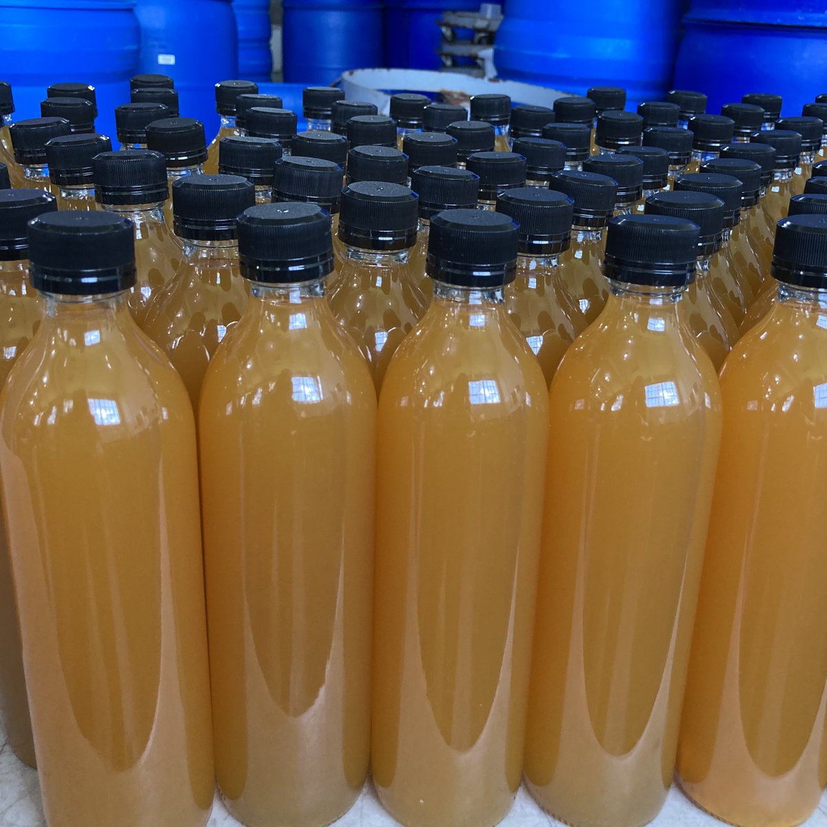 Number1Sons's tweet image. Pattern appreciation post. We’ll have more watermelon kombucha at markets this weekend, by the way 🍉🥰