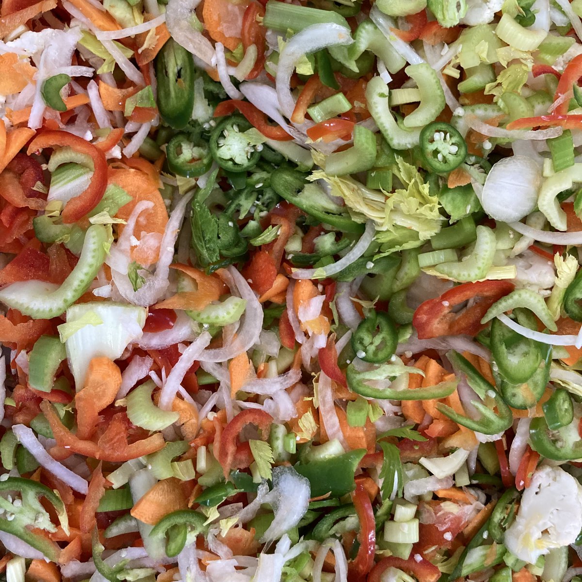 Number1Sons's tweet image. Pattern appreciation post. We’ll have more watermelon kombucha at markets this weekend, by the way 🍉🥰