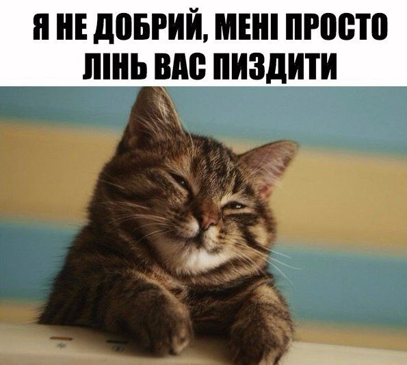 FariaFucktalena's tweet photo. Те чуство коли хтось сре твій плейлист, який у тебе вже притертий, і ти бережеш його як зіницю ока:
P.S: мем не мій😂 https://t.co/YvU2A3hvO0