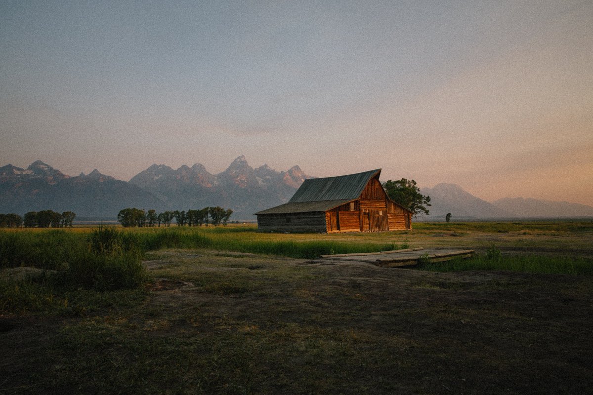 inthemeadow's tweet image. a grand morning