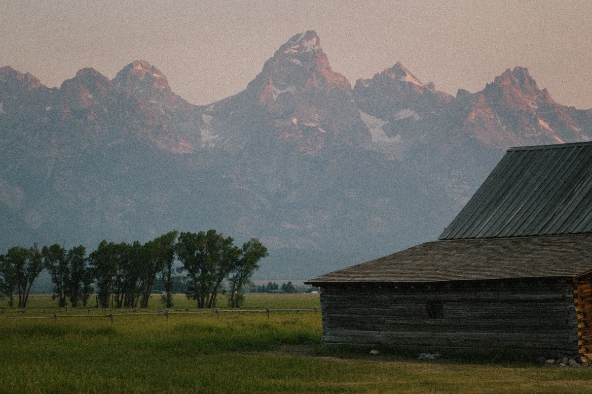 inthemeadow's tweet image. a grand morning