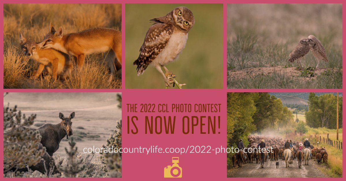 Colorado CountryLife tweet media