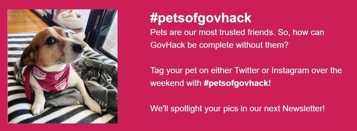 GovHackAU's tweet image. With most of our #GovHack2021 events happening digitally this weekend - we&apos;d LOVE to see your little #Hackathon Helpers 🐶🐱🦎
📷 Share on socials over the weekend with #petsofgovhack &amp;amp; don&apos;t forget to tag us too 😍 we&apos;ll spotlight the pics in our next Newsletter!