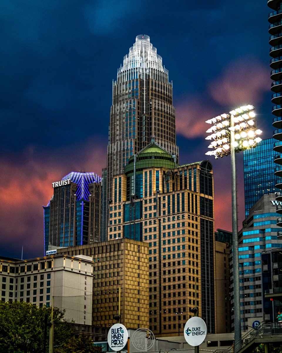 Laura Wolff tweet media