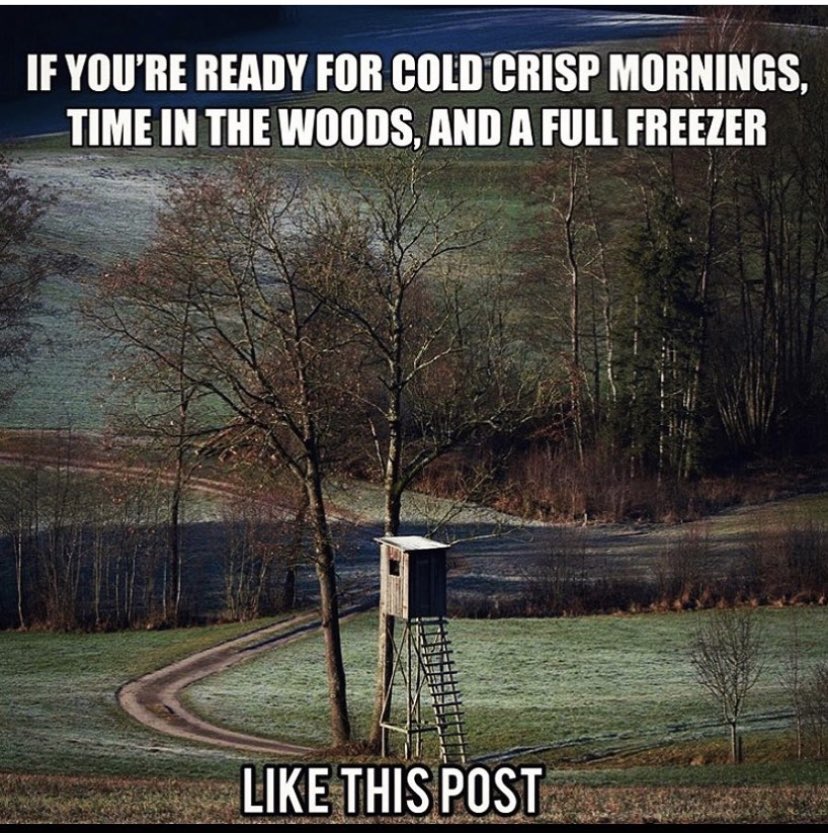 Outdoor Obsession tweet media