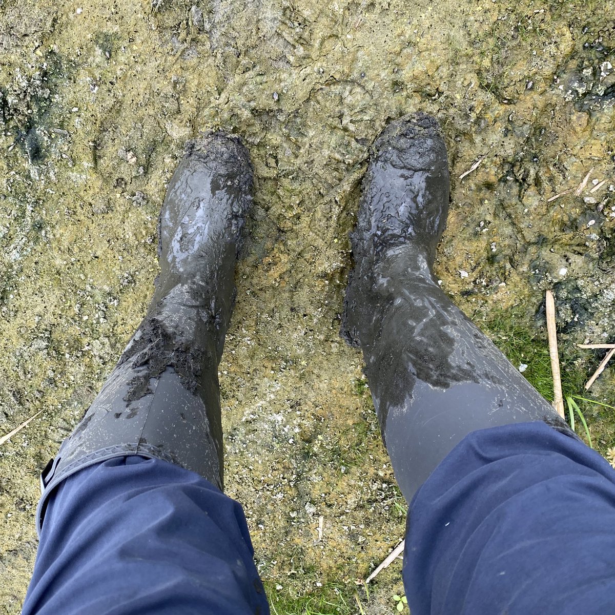 Caroline Quinn tweet media