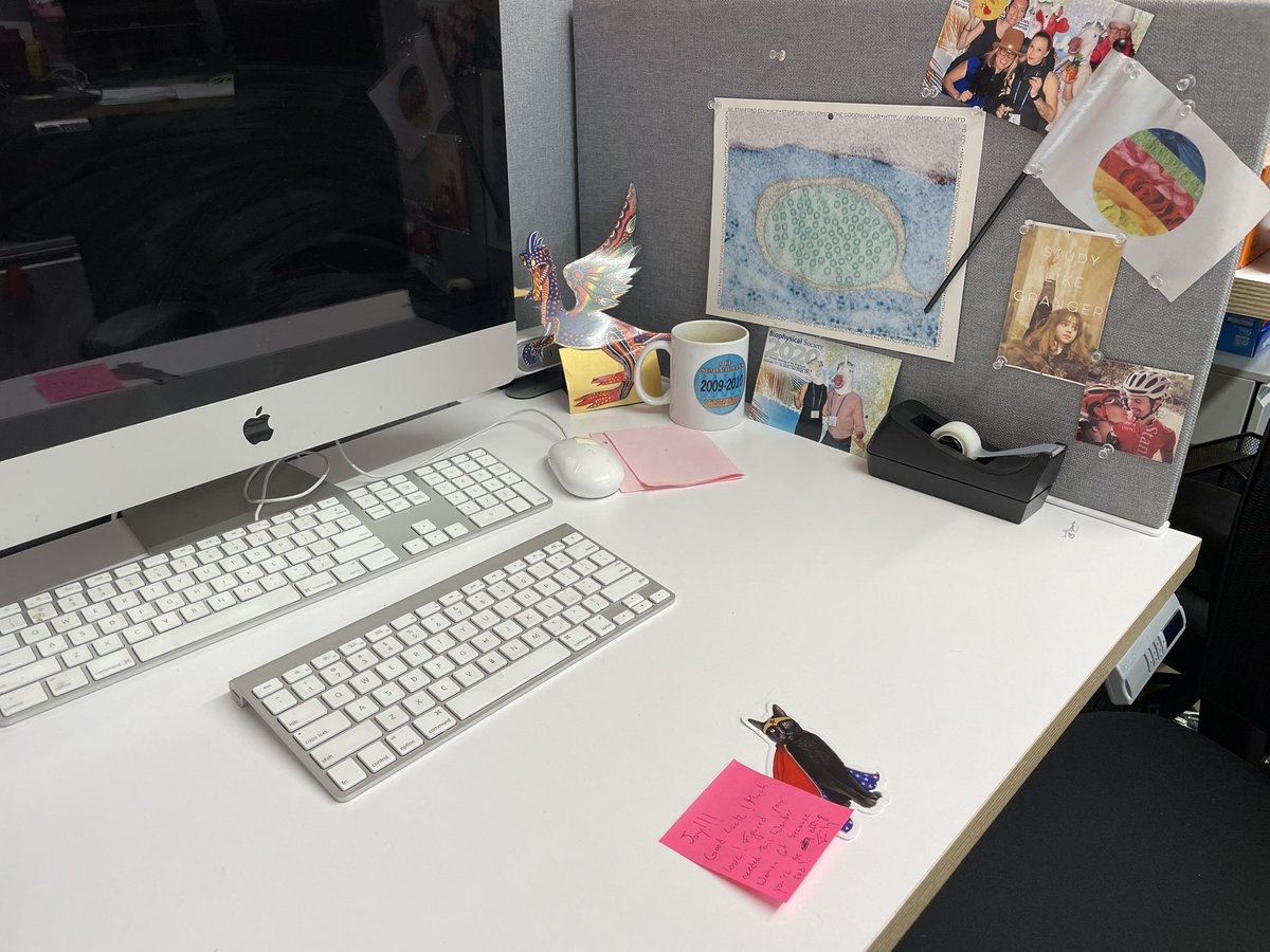 Joy A. Franco, PhD tweet media