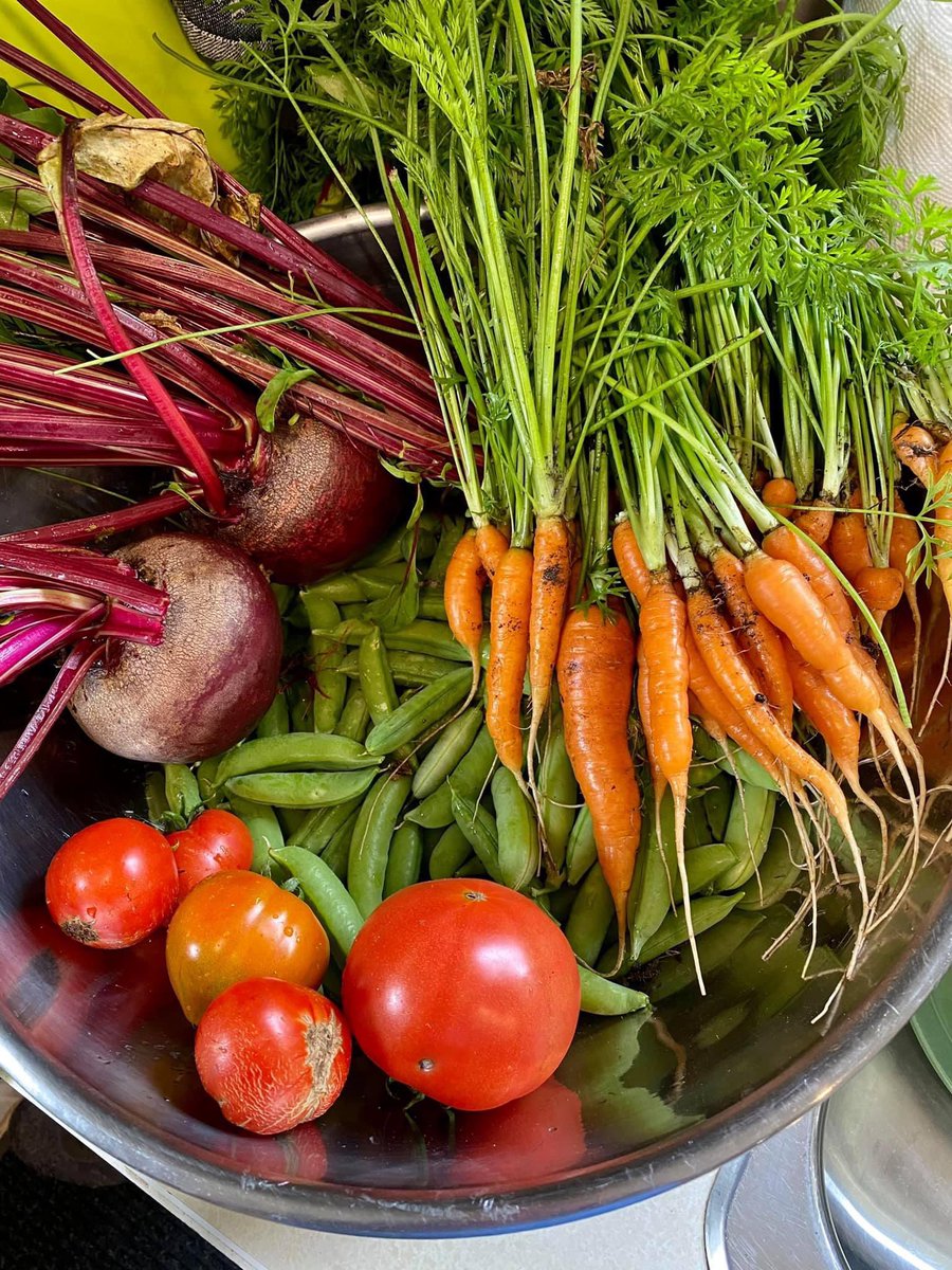 <a href="/pjrvs/">_</a> Bruce says, he sees your bet, and calls.