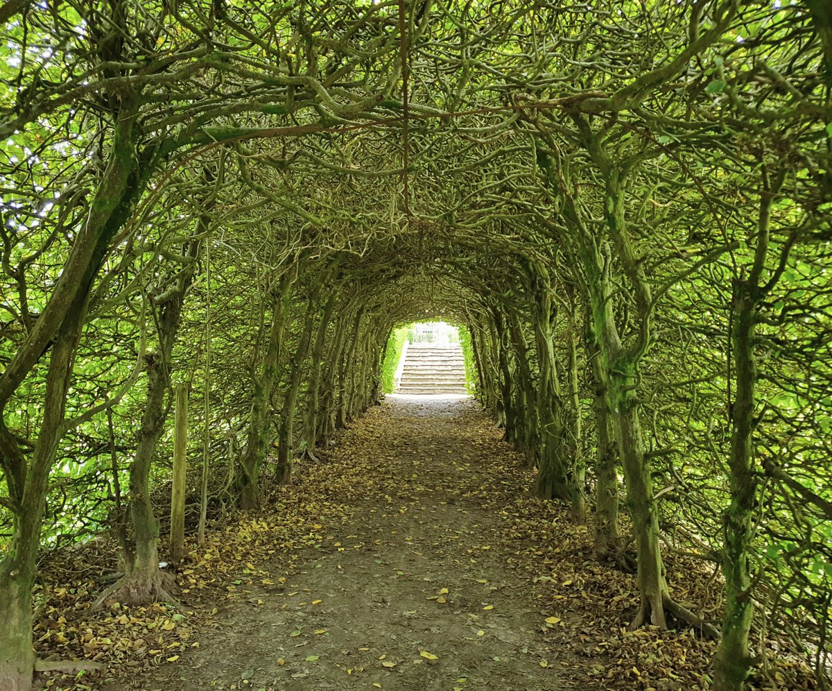 _meggybread's tweet photo. Yes I want an Elizabethan mansion with dark hedge walks and walled rose gardens and pumpkins growing among the greenhouses, why do you ask https://t.co/XPQNpEHySk