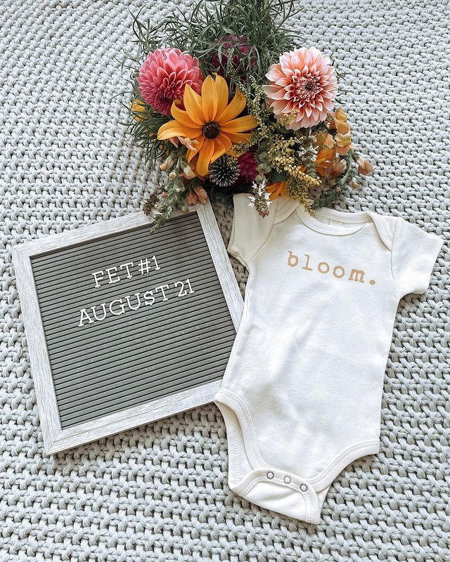 Fertility_PFC's tweet photo. Marissa is having her first FET TOMORROW! And we're equally as excited and hopeful for her transfer to be successful 💛
Remember to head to her IG post to spread some positive vibes ✨
📸: marissakhoyt on IG.
#ivfjourney #fettransfer #ttccommunity #1in8 #ivfgotthis #ivfbaby https://t.co/q7UPljpxvX