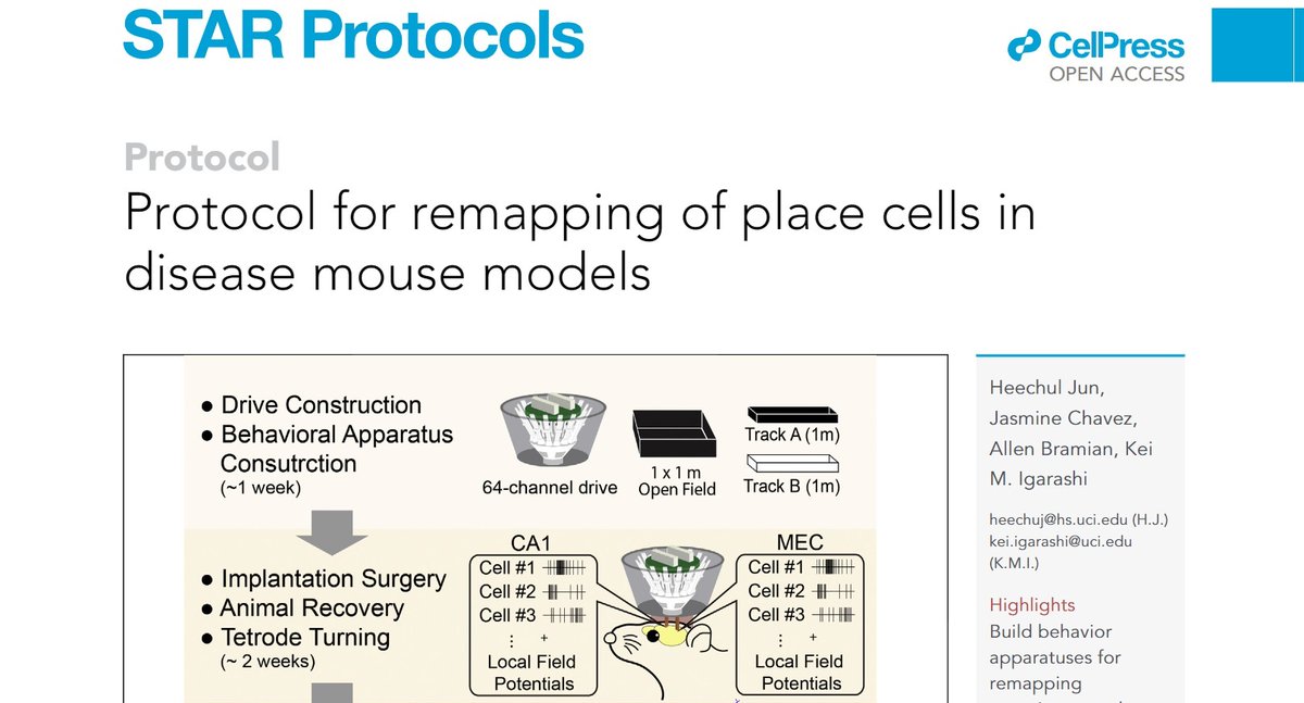 Kei Igarashi (@kei_m_igarashi) on Twitter photo Our protocol paper on In Vivo E-phys Recording of Place cell/Grid cell Remapping is out in STAR Protocols <a href="/STARProtocols/">STAR Protocols</a>
bit.ly/3syoSlg
by <a href="/jun_heechul/">Heechul</a> et al
We deposited place/grid cell spike data and Matlab code!
(Codes credit to <a href="/EdvardMoser/">Edvard Ingjald Moser</a> & <a href="/MayBrittMoser/">May-Britt Moser</a> lab) Our protocol paper on In Vivo E-phys Recording of Place cell/Grid cell Remapping is out in STAR Protocols <a href="/STARProtocols/">STAR Protocols</a>
bit.ly/3syoSlg
by <a href="/jun_heechul/">Heechul</a> et al
We deposited place/grid cell spike data and Matlab code!
(Codes credit to <a href="/EdvardMoser/">Edvard Ingjald Moser</a> & <a href="/MayBrittMoser/">May-Britt Moser</a> lab)