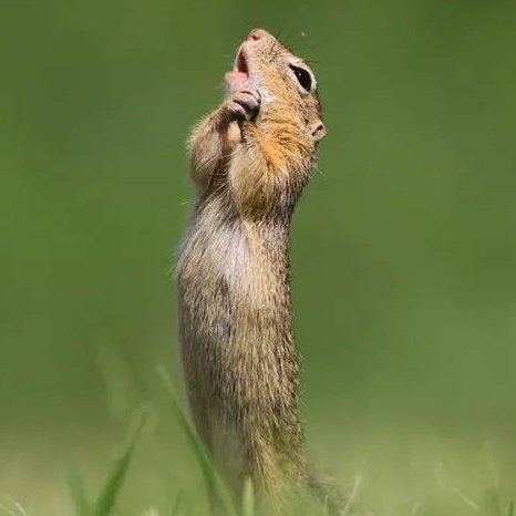 DBoot91's tweet image. #NewProfilePic