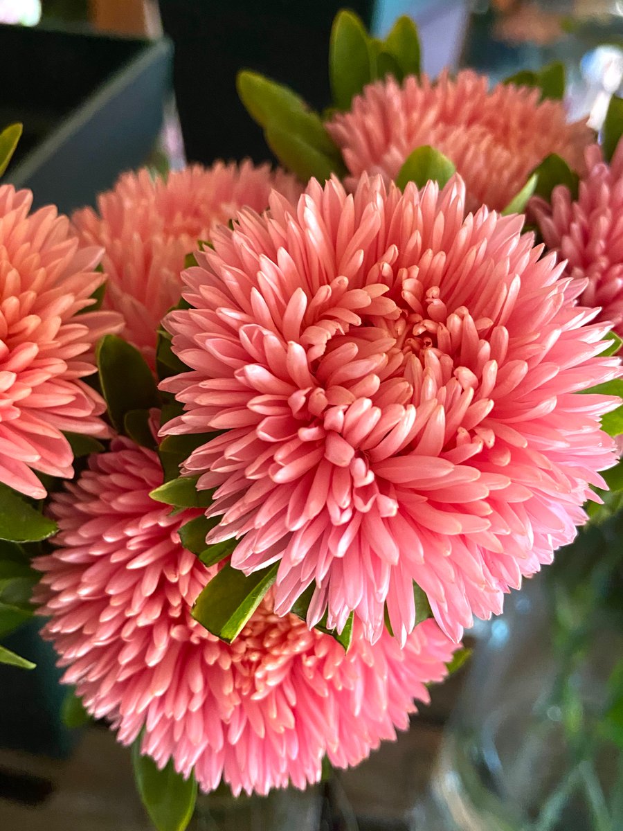 フラワーショップ花太郎 Fshanataro Twitter フラワーショップ花太郎 Fshanataro Twitter