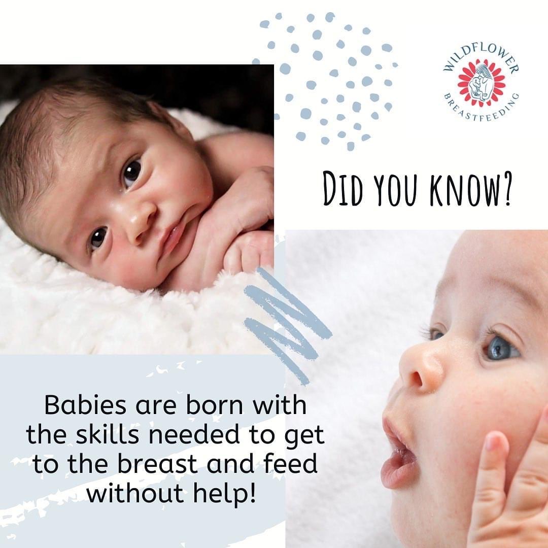 advocacybaa's tweet photo. #Breastfeedingcraft https://t.co/D9EEj371JL