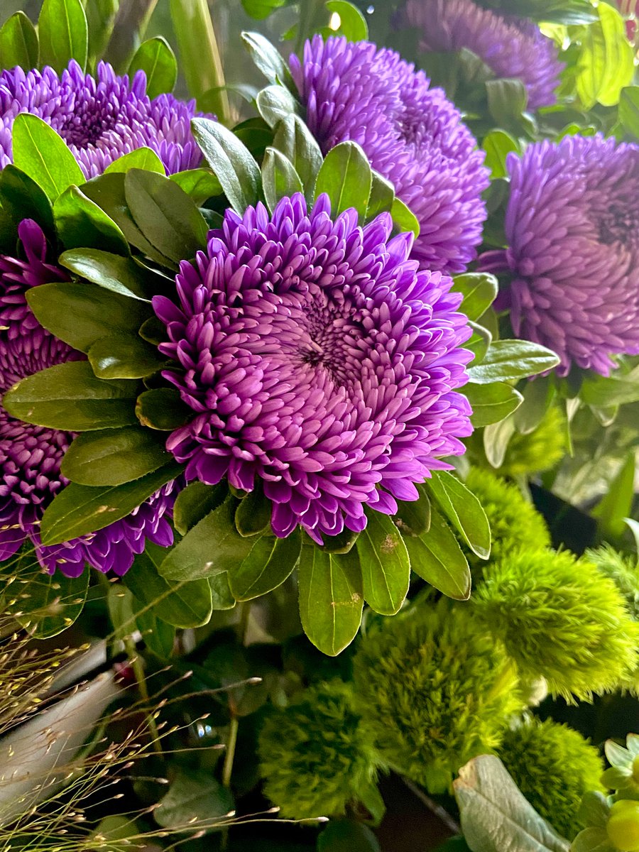 フラワーショップ花太郎 Fshanataro Twitter フラワーショップ花太郎 Fshanataro Twitter