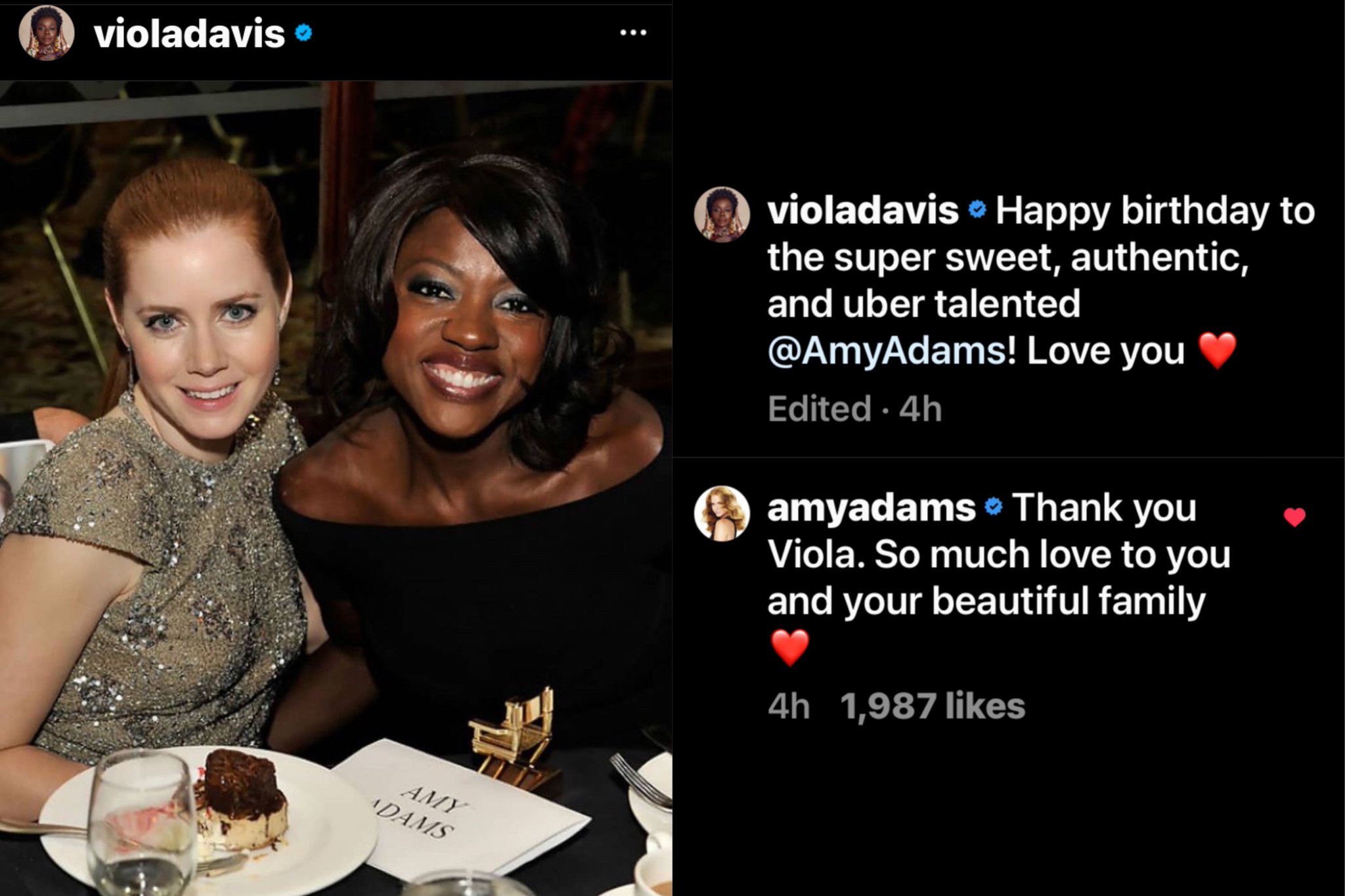Viola Davis wishing Amy Adams happy birthday is so precious! I love our DCEU queens!  