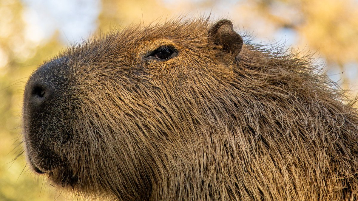 EcoparqueBA tweet media