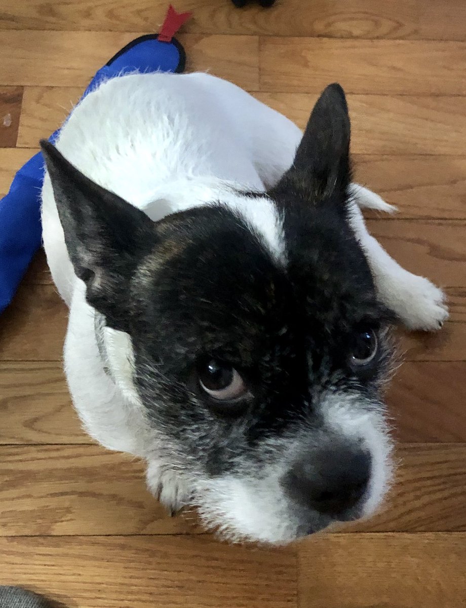 fallrivercrit's tweet image. 