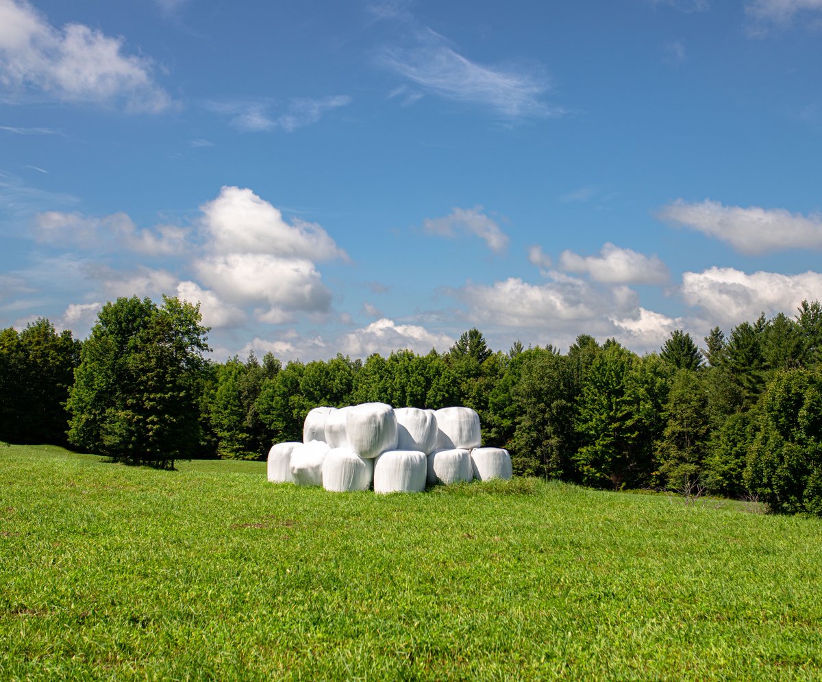 fotogosaurus's tweet photo. ag art https://t.co/azzkim7AKU #VT #Vermont #NewEngland #art #AgArt #FarmArt #marshMallows #field #Landscape #LandscapePhoto #landscapePhotography #Sky #SkyScape #Clouds #Sunny #August #rural #RuralArt #InTheCountry #field #GettingReady #hay #RoundBales #Bales #Feed https://t.co/a28esEXANk