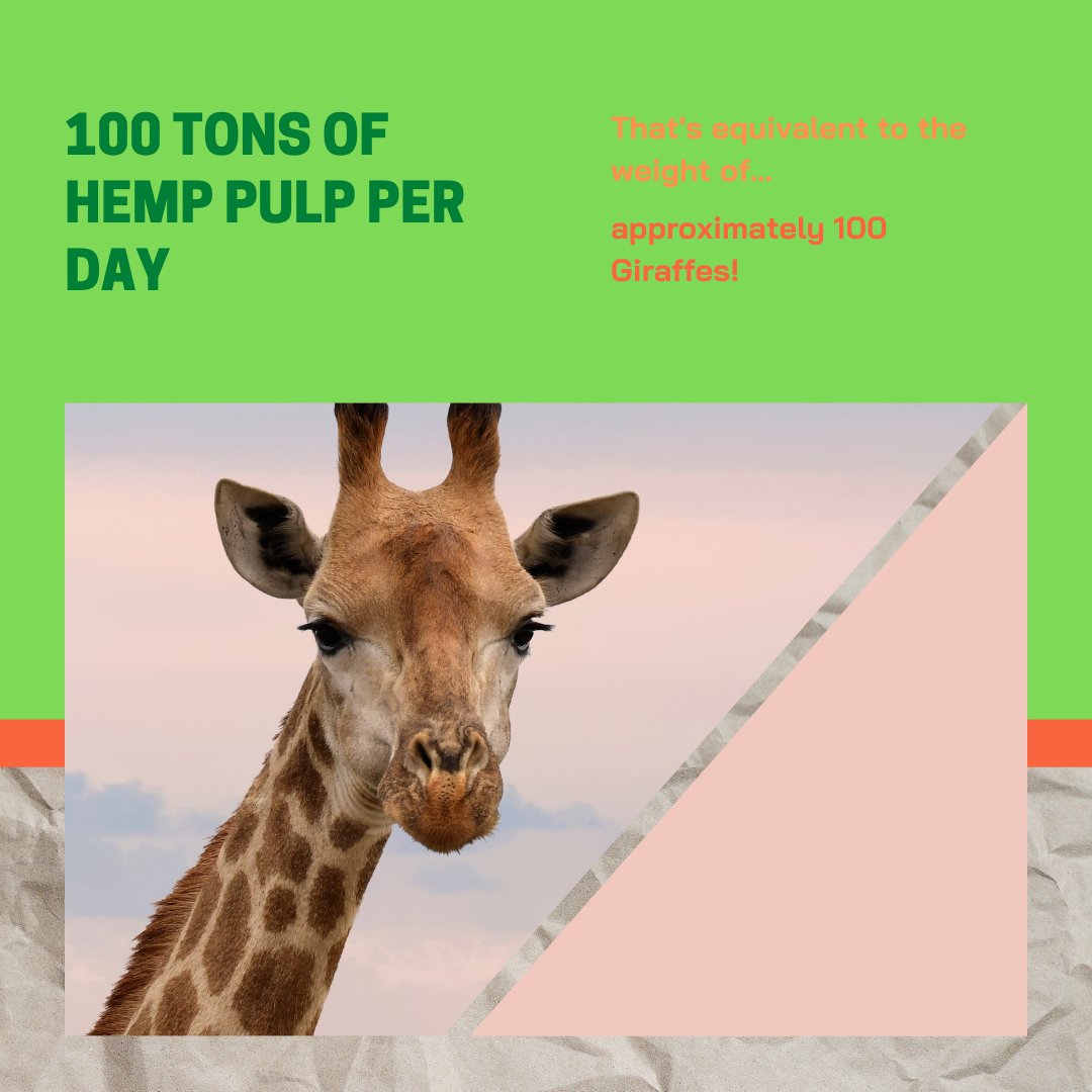 Have you heard about our project with ReStalk yet? It's kind of a big deal 😉 
Read more on the project in this article published on PRNewswire: buff.ly/3d5XlC7
And learn more about our process at our website, linked in bio. 
#sustainability #SFT #restalk #hemppaper