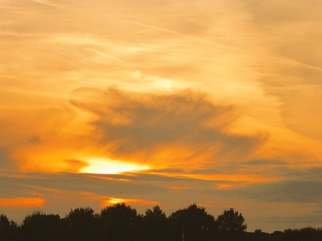 Jonathan Rodgers tweet media