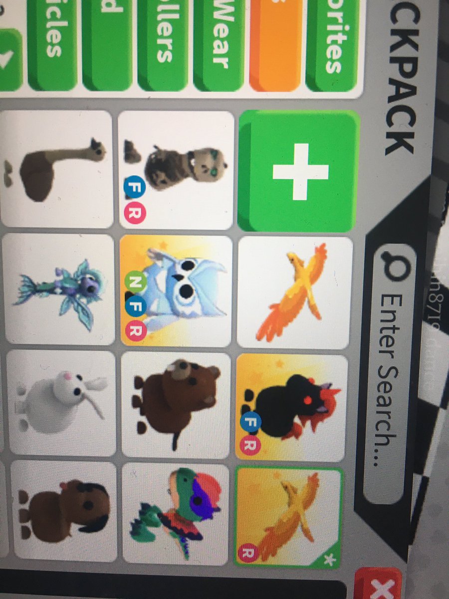 AAAM0N's tweet photo. Any offers for fly ride skeleton rex, neon fly ride snow owl, evil unicorn on adopt me?
#Adoptmetrade #Adoptmetrades #adoptmetrading #adoptme #adoptmetradings #AdoptMePets #adoptmeoffer #adoptmeoffers #AdoptMePets https://t.co/Ev9RmjyShV