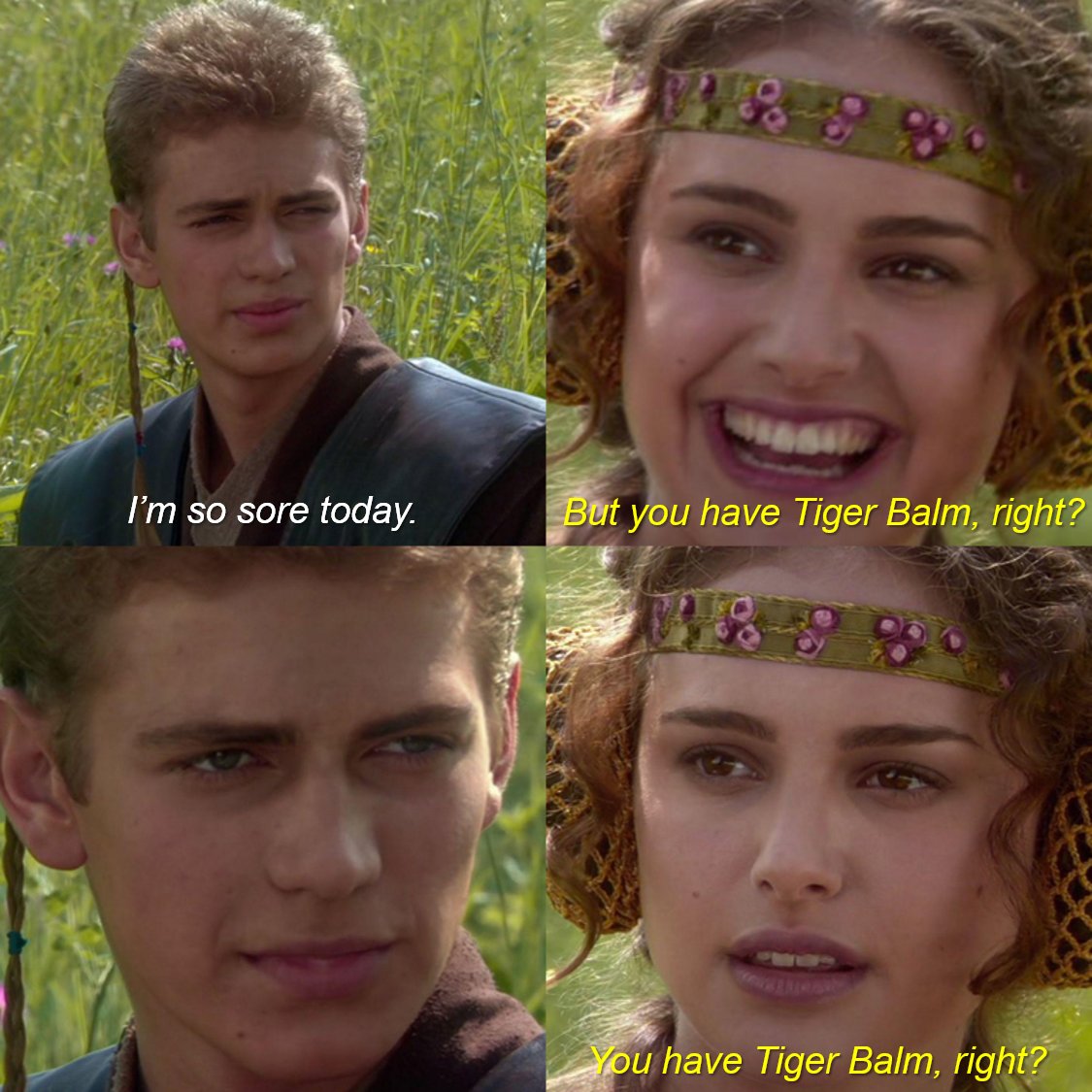 TigerBalmCanada's tweet photo. #FridayFun #FridayVibes #FridayMood #Memes #StarWars #TigerBalm #PainRelief #WorksWhereItHurts #DontRunOut https://t.co/QLxwk8sfRW