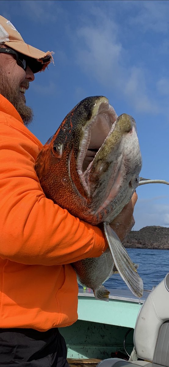 DrLeatherdale's tweet photo. The lake trout in #NWT are just a big bigger than the ones in Ontario.
Hug and release.
#cabelas
#garyloomis
#mauijim https://t.co/mRO60jmksl
