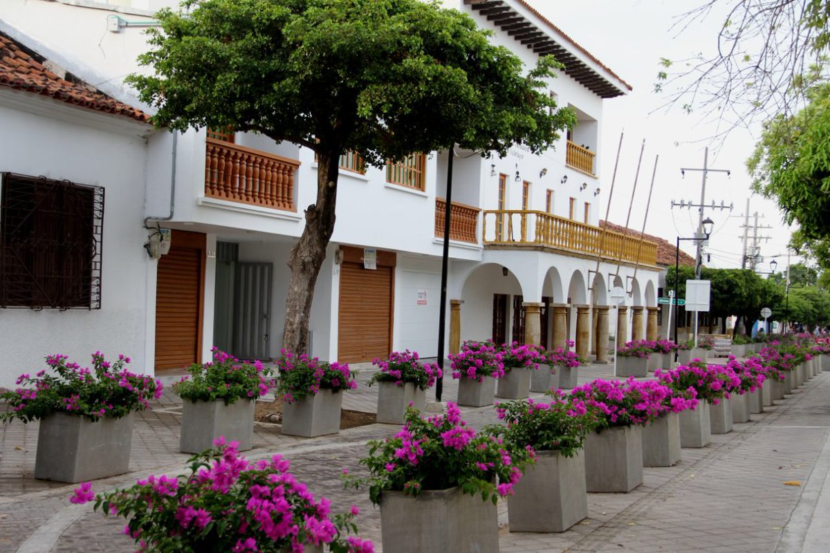 mariaicampoc's tweet photo. Está hermosa la plaza Alfonso López vestida de  trinitarias...
Quedó bonito el centro...
Yo en este frio extrañando mi Valle!!! https://t.co/V43zvCPBTZ