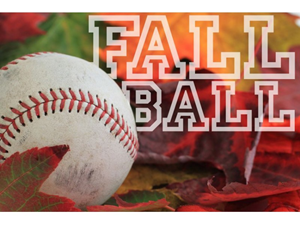StrathamRec's tweet image. Fall programs - mailchi.mp/strathamnh.gov…