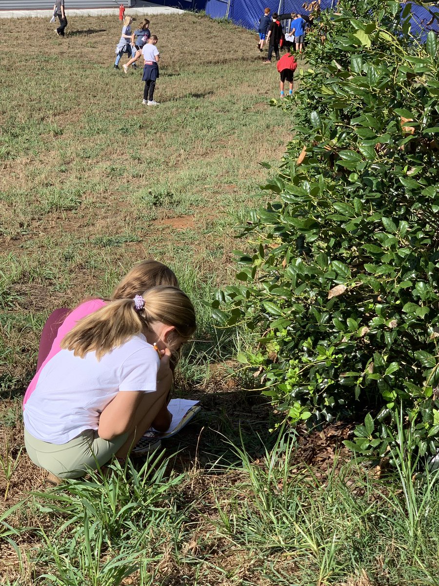 Catherine Lamie tweet media