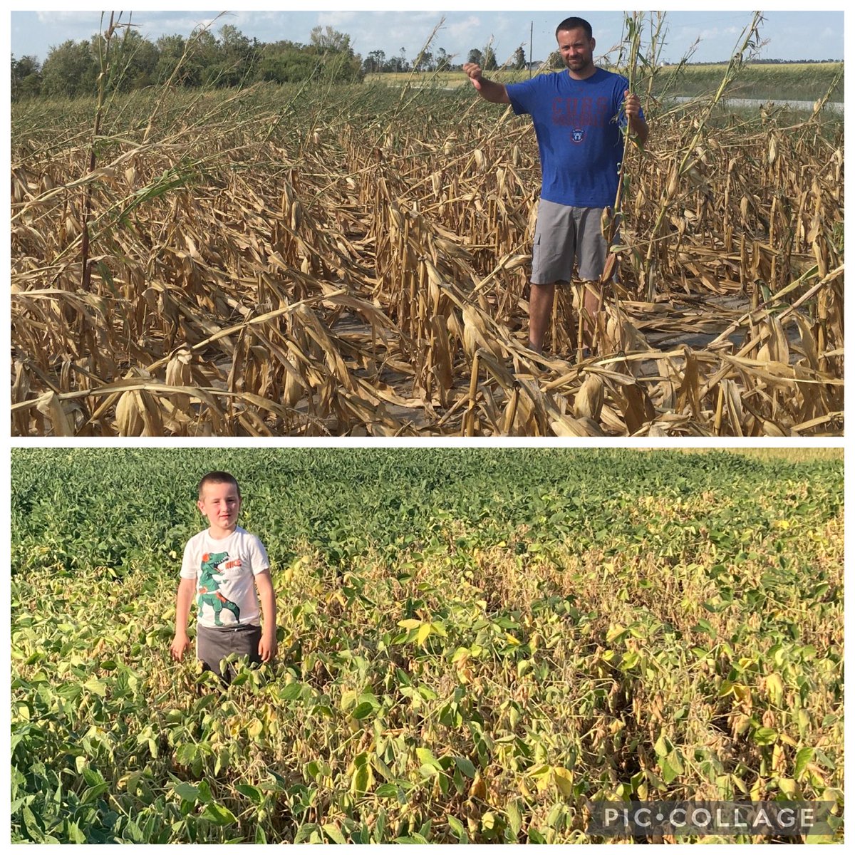 RT @mdowney_78: Linn County, IA: 8/20/20 derecho vs 8/20/21 drought…and beans closed down 29 today. https://t.co/tmmIVLRIE0