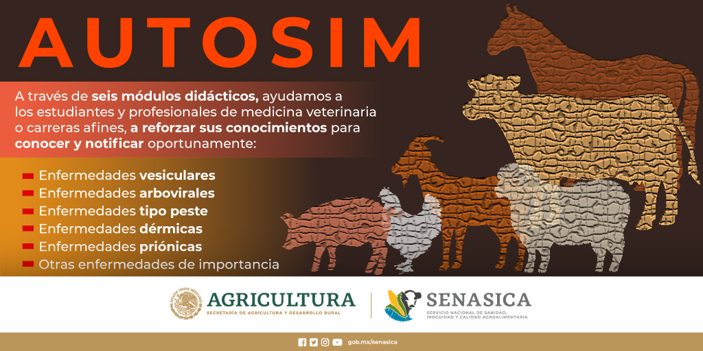 SENASICA's tweet photo. ¿Sabías que impartimos un curso en línea, para fortalecer tus conocimientos en el reconocimiento y notificación oportuna de enfermedades exóticas de los animales? 🧑💻 https://t.co/E7z5fQNytL